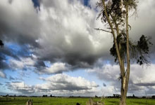 开云体育官方网站-澳大利亚网球队完胜意大利网场传奇再续,西西帕斯送出精彩助攻